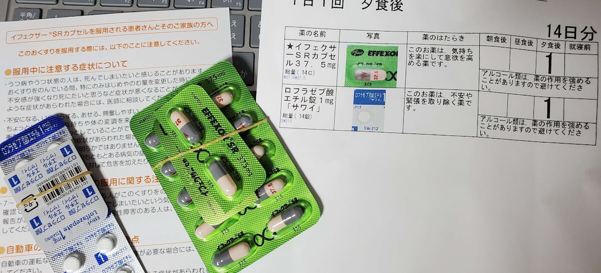 Thumbnail for 日記